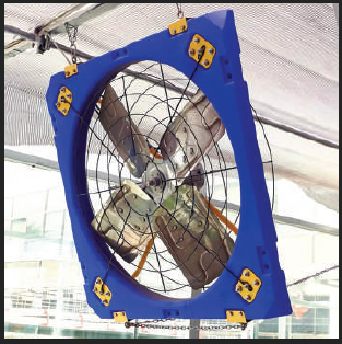 hanging fans